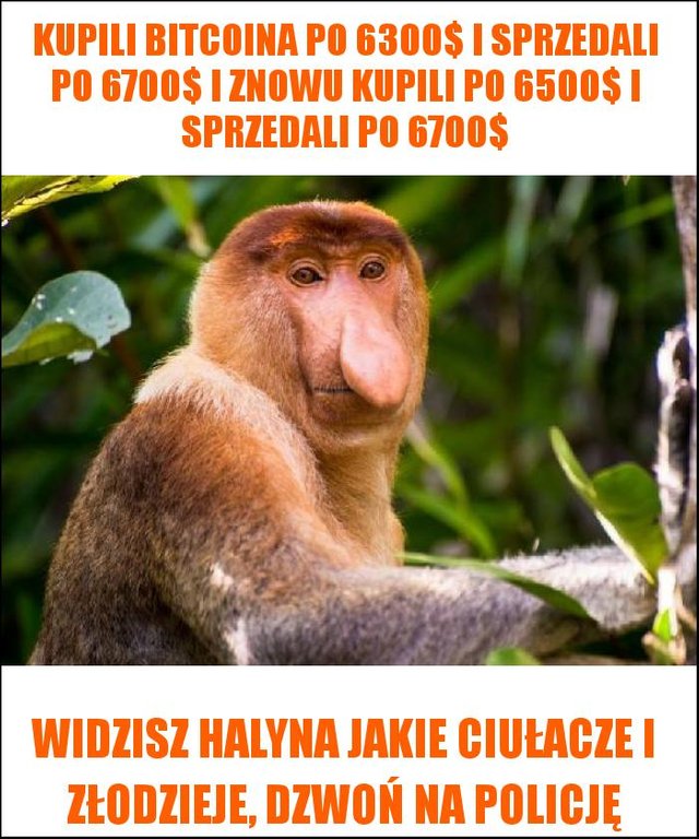 ciułacze i złodzieje.jpg