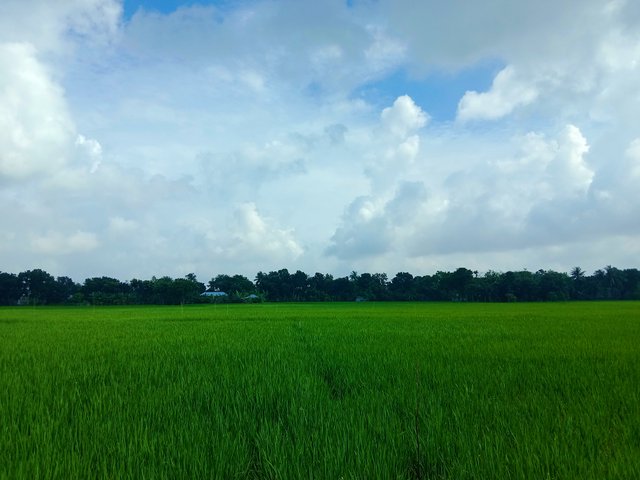 IMG_20250915_103957.jpg
