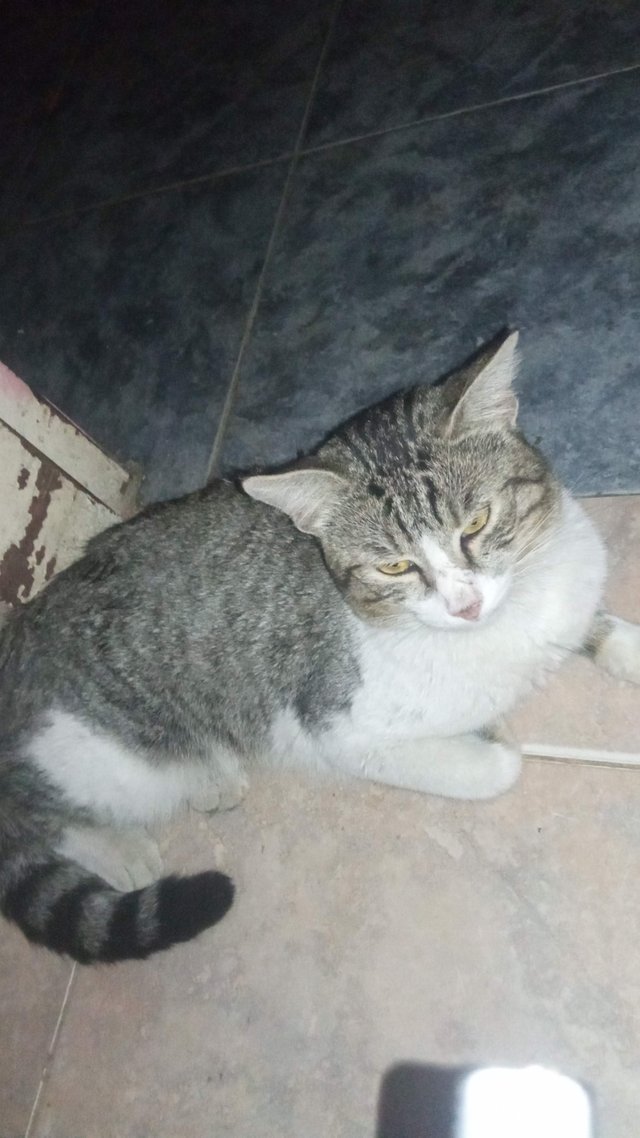 2FFvzA2zeqoVPgRCnRzbu6rj6tCWHWVCA9ZaKB4ZqzP2R7h1zKjt1kcTV5JZBWBaZAwc3aQ3hSsPXLjio9NX7GYooxQZq8PzdZoCP8VgWhTGcjS5RR5KN5e7W9Qmc.jpg