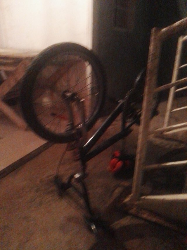 IMG-20211028-WA0056.jpeg