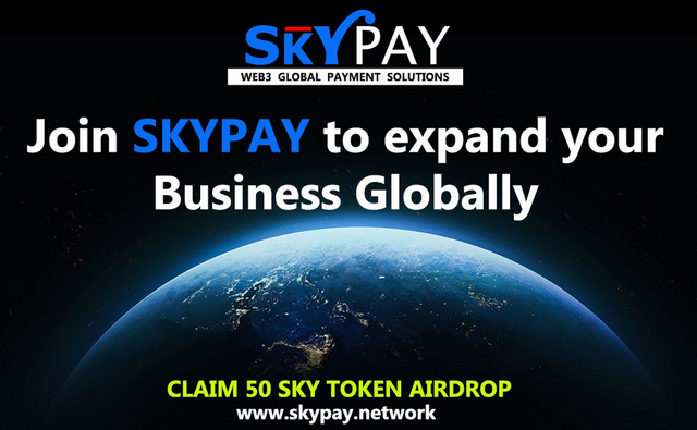 Skypay 1b.png