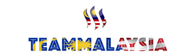 TeamMalaysia Banner Cropped.jpg