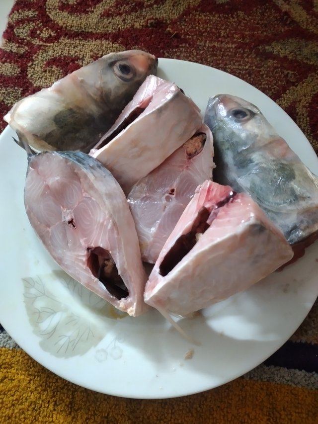 20250630_115428.jpg