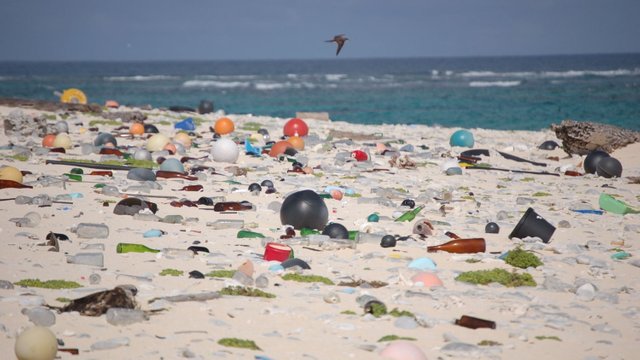 Plastic_Beach-strewn-with-plastic-debris_by_US-Fish-and-Wildlife-Service-Headquarters_CC_BY_2-0_8080500982_00dc7735b3_o-BS-TB-Web.jpg