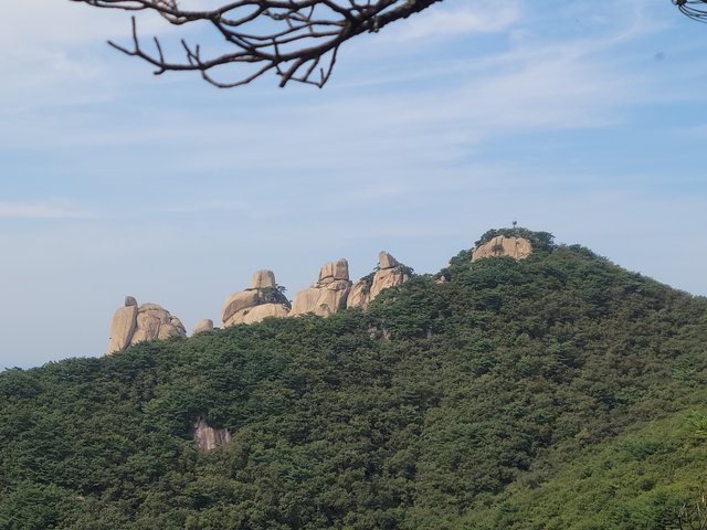 KakaoTalk_20250928_071020390.jpg