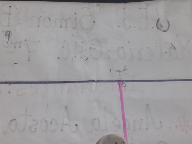 20241106_110902.jpg