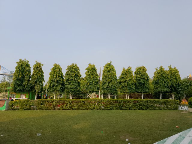 1000041029.jpg