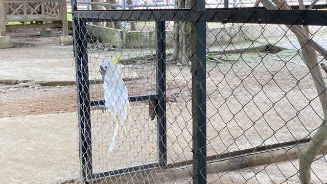 IMG_1922.jpeg