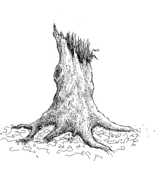 stump1.png