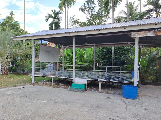 20250711_175432.jpg