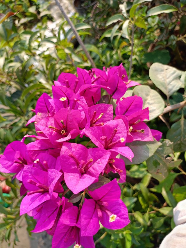 IMG20250118093253.jpg
