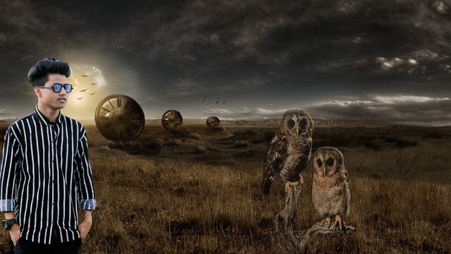 243976-Adobe_Photoshop-landscape-owl-watch-photo_manipulation copy.JPG