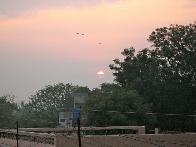 Sunset in India India 2009.jpg