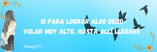 Si para lograr algo, debo volar muy alto, hasta allí llegaré_20240106_125555_0000.png