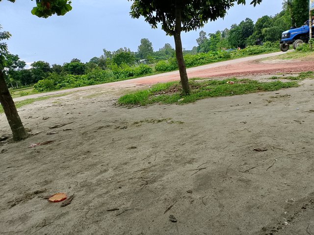 1000045994.jpg