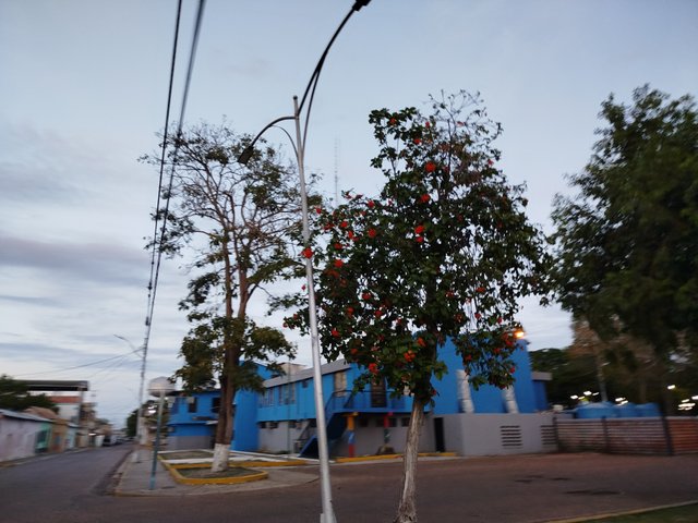 1000363357.jpg