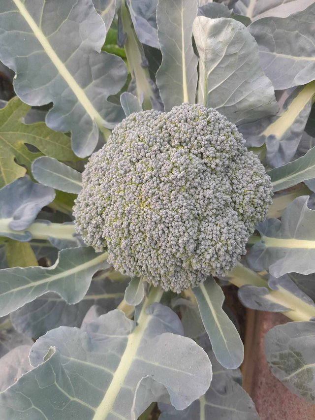 423221563_957418516009629_2761798526524184887_n (1).jpg