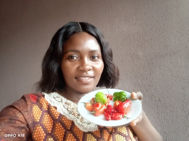 IMG20250519175905.jpg