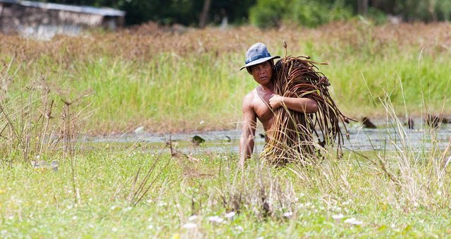 farmer-men-2533245_1280.jpg