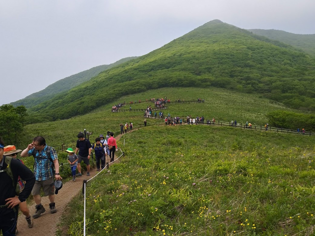 인제가볼만한곳 천상의 화원 곰배령 江原道インジェ 天上の花園 コンベリョン Steemit