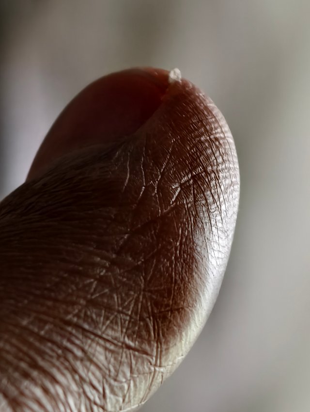 1000010072.jpg