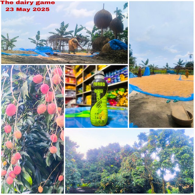 Picsart_25-05-23_13-38-59-880.jpg