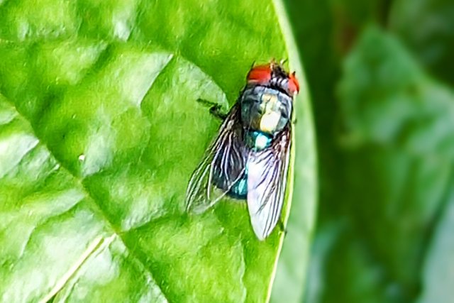 20250718_143502~3.jpg