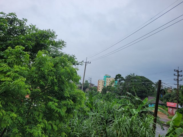 20250709_101646.jpg