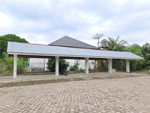 20250614_164315.jpg