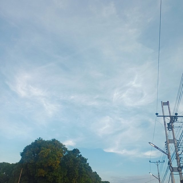 IMG_20250427_075952_394.jpg