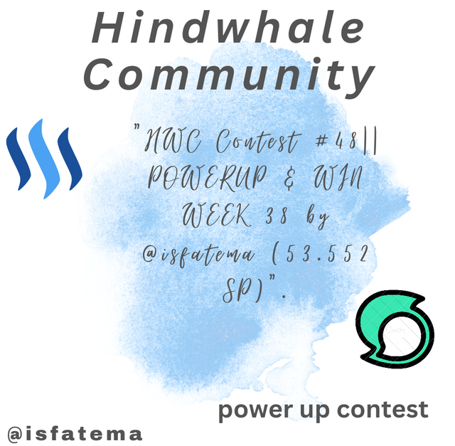 "HWC Contest #48|| POWERUP & WIN WEEK 38 by @isfatema (53.552 SP)"._20240420_105324_0000.png