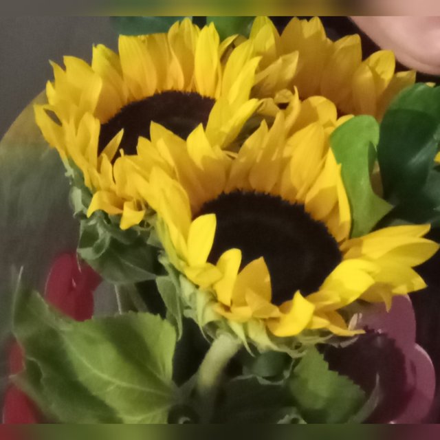 1000161767.jpg