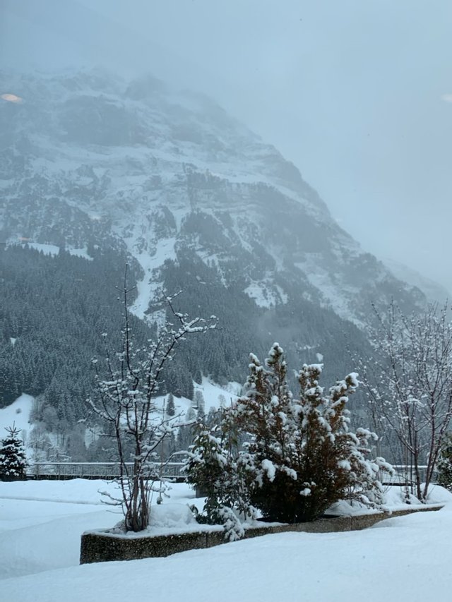 IMG0800.JPG