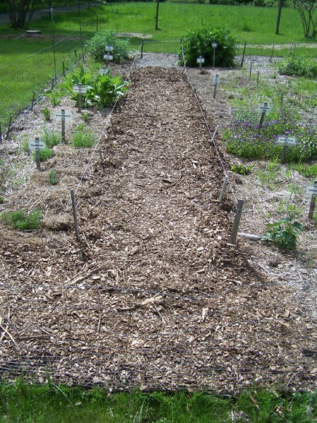 New Herb - 1st walkway mulch crop May 2019.jpg