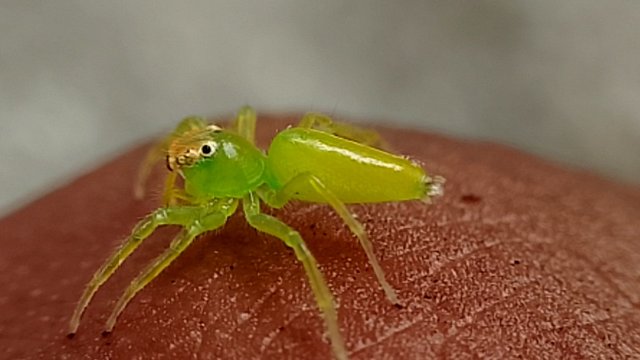 IMG_20250719_160326.jpg