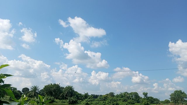 IMG_20240829_145140_0.jpg