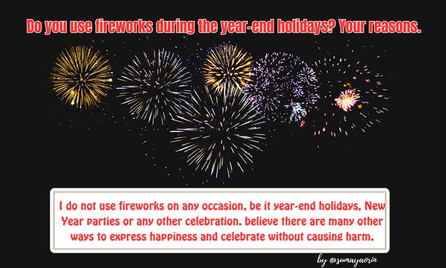 I do not use fireworks on any occasion, be it year-end holidays, New Year parties or any other celebration..png