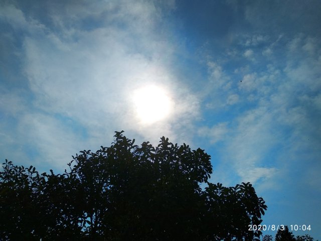 IMG_20200803_100440.jpg