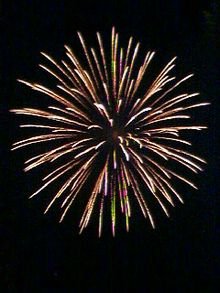 220px-Spider-Firework-Omiya-Japan.jpg