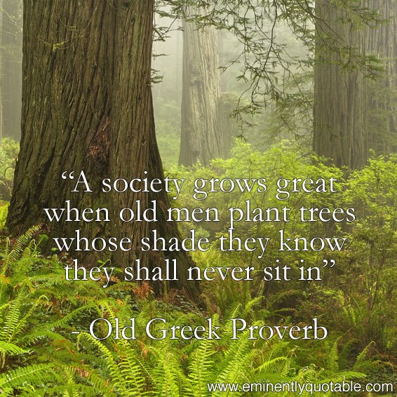 A society grows great when oldmen plant trees whose shade they know they shall never sit in.jpg