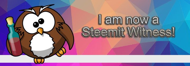 i am now a steemit witness.jpg