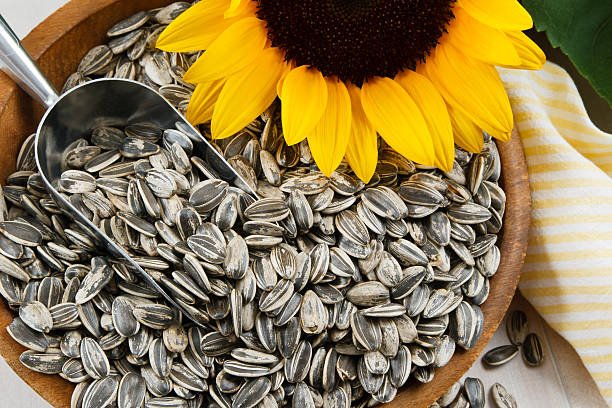 closeup-of-sunflower-seeds.jpg