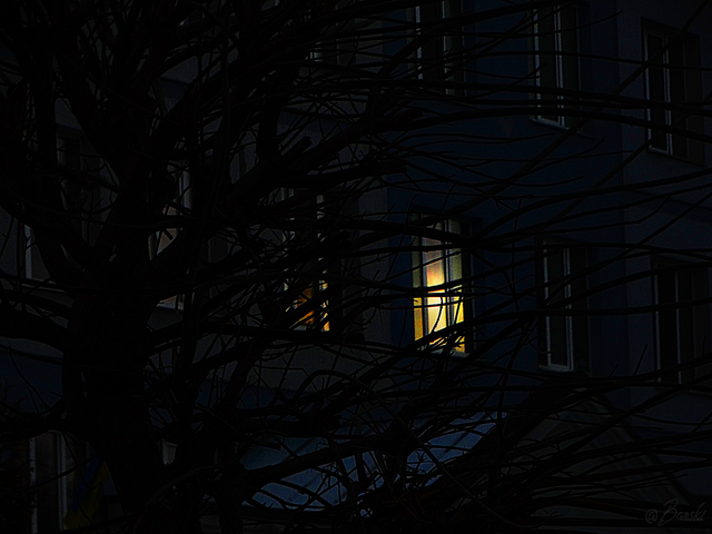 1treDSC05304.png
