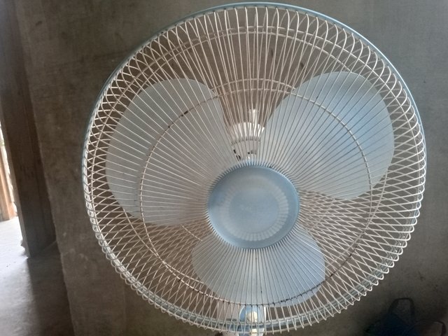 1000004052.jpg