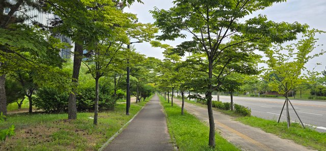 KakaoTalk_20250801_022604629_12.jpg