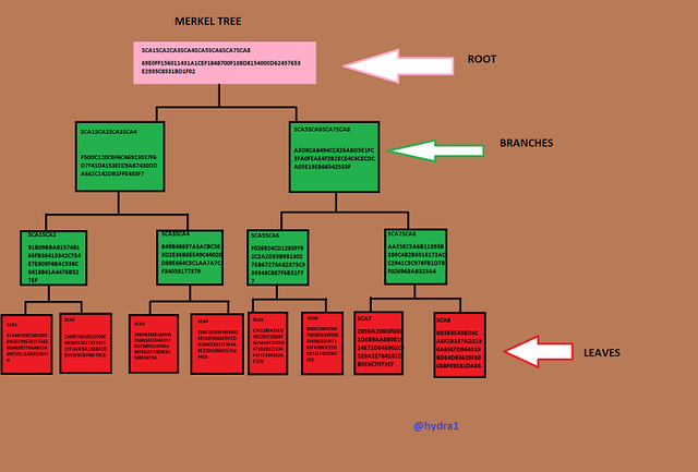 merkel tree SCA.png