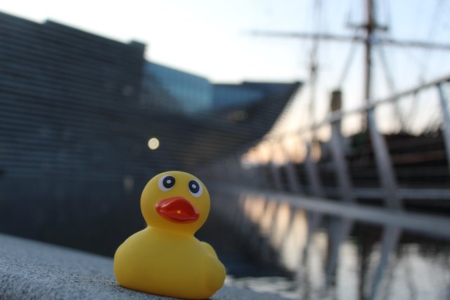 rubber-duck-g5e742cb1d_1280.jpg