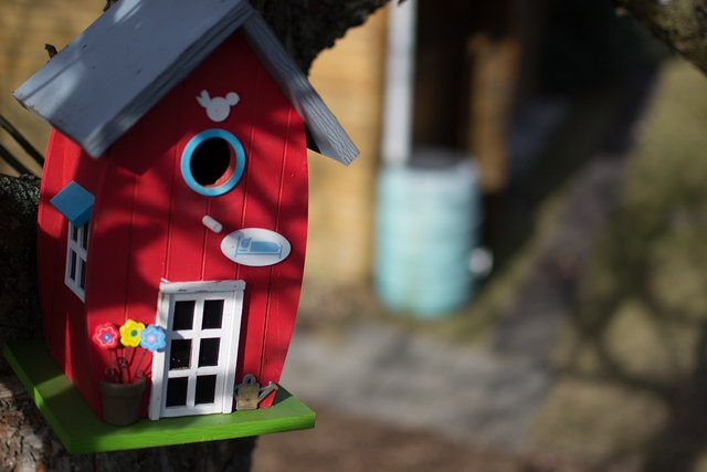 bird-house-2718201_1280.jpg