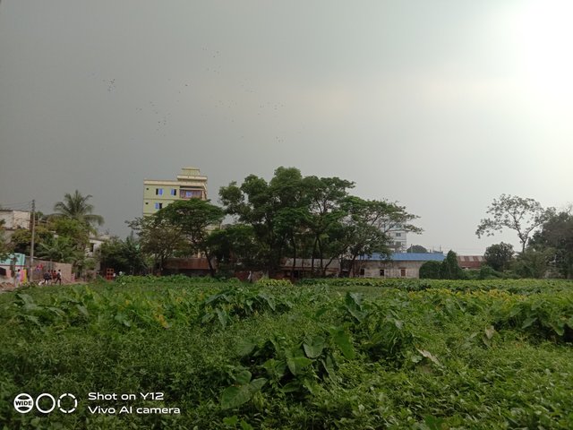 IMG_20250501_125014.jpg