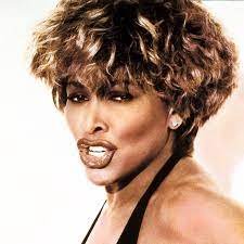 tina turner.jpg